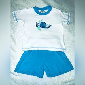 Luigi Kids sea turtle top and shorts outfit, size 3T, EUC